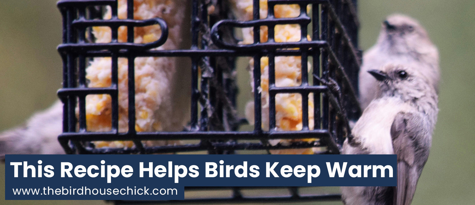 Cold Weather Feeding - The Grocery List!