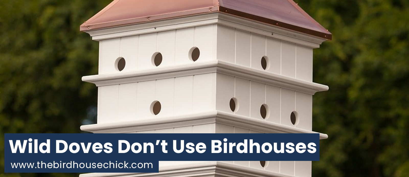 Dovecote Birdhouse Myth Expounded
