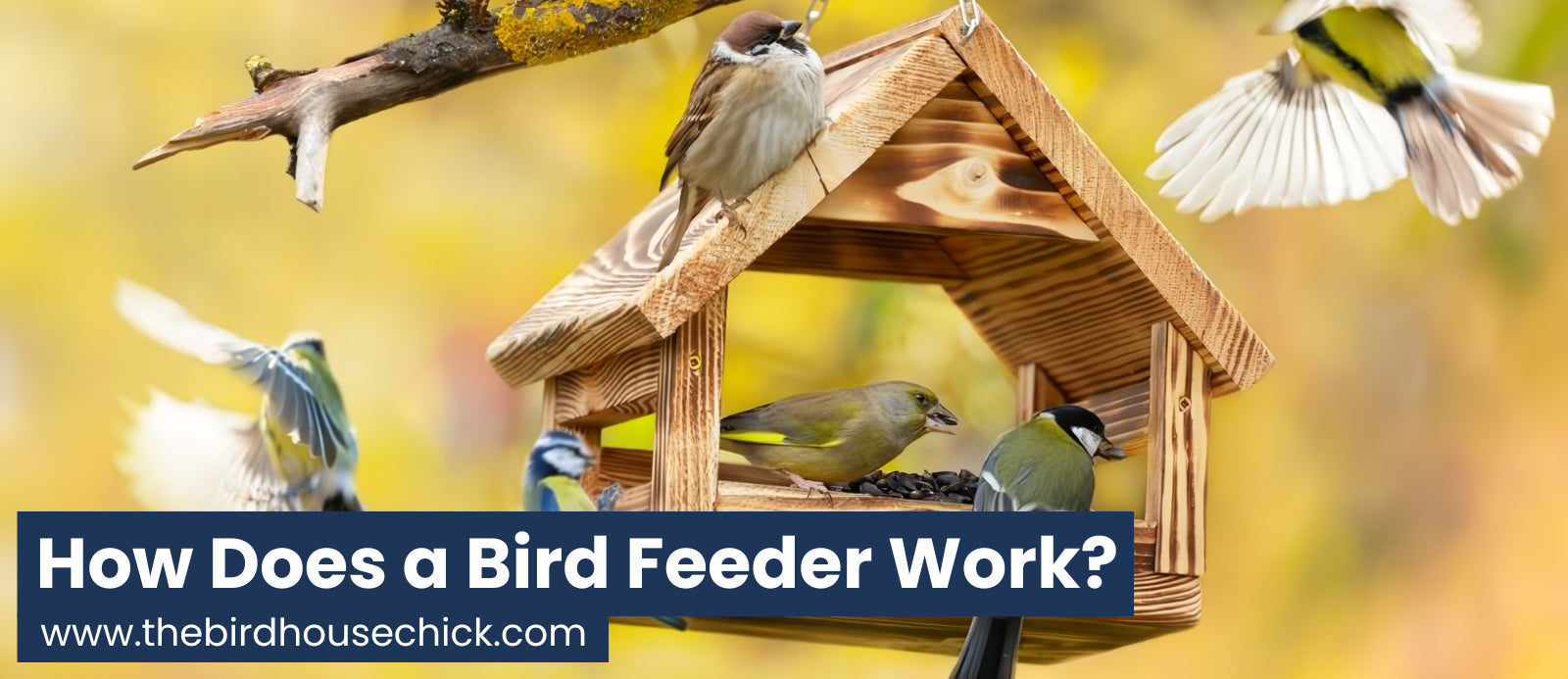 How does a bird feeder work?