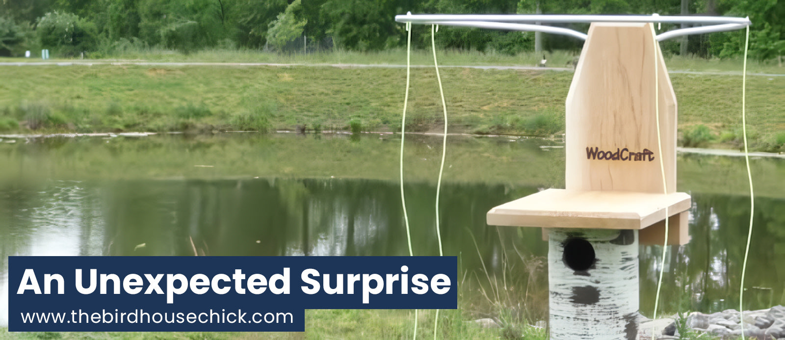 Why Pair Your Bluebird House with Sparrow Spooker?