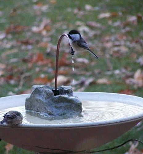 Moving Water Bird Baths & Fountains