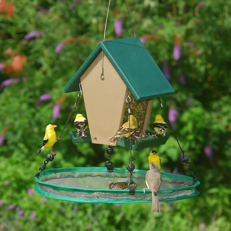 Seed Trays & Catchers