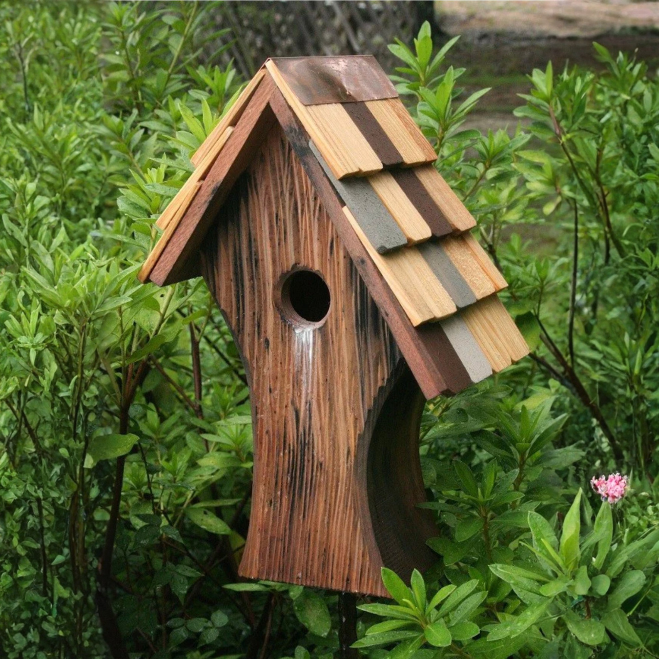 Beautiful Cypress wood birdhouse built with curves and shingles set in a greenery background