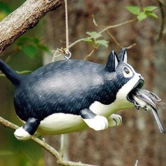Best wild bird gifts under $100