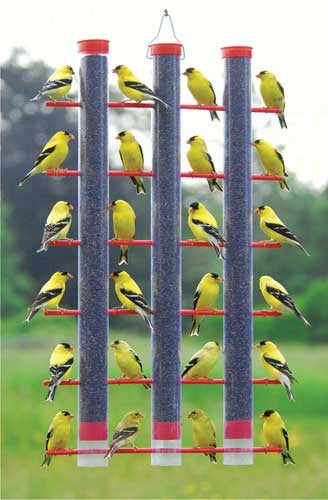Thistle Feeders for Birds