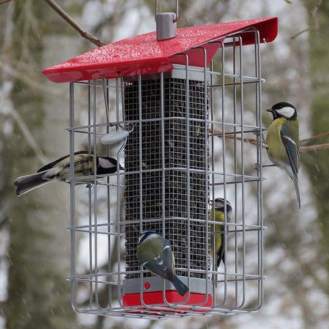 Squirrel Proof Bird Feeders