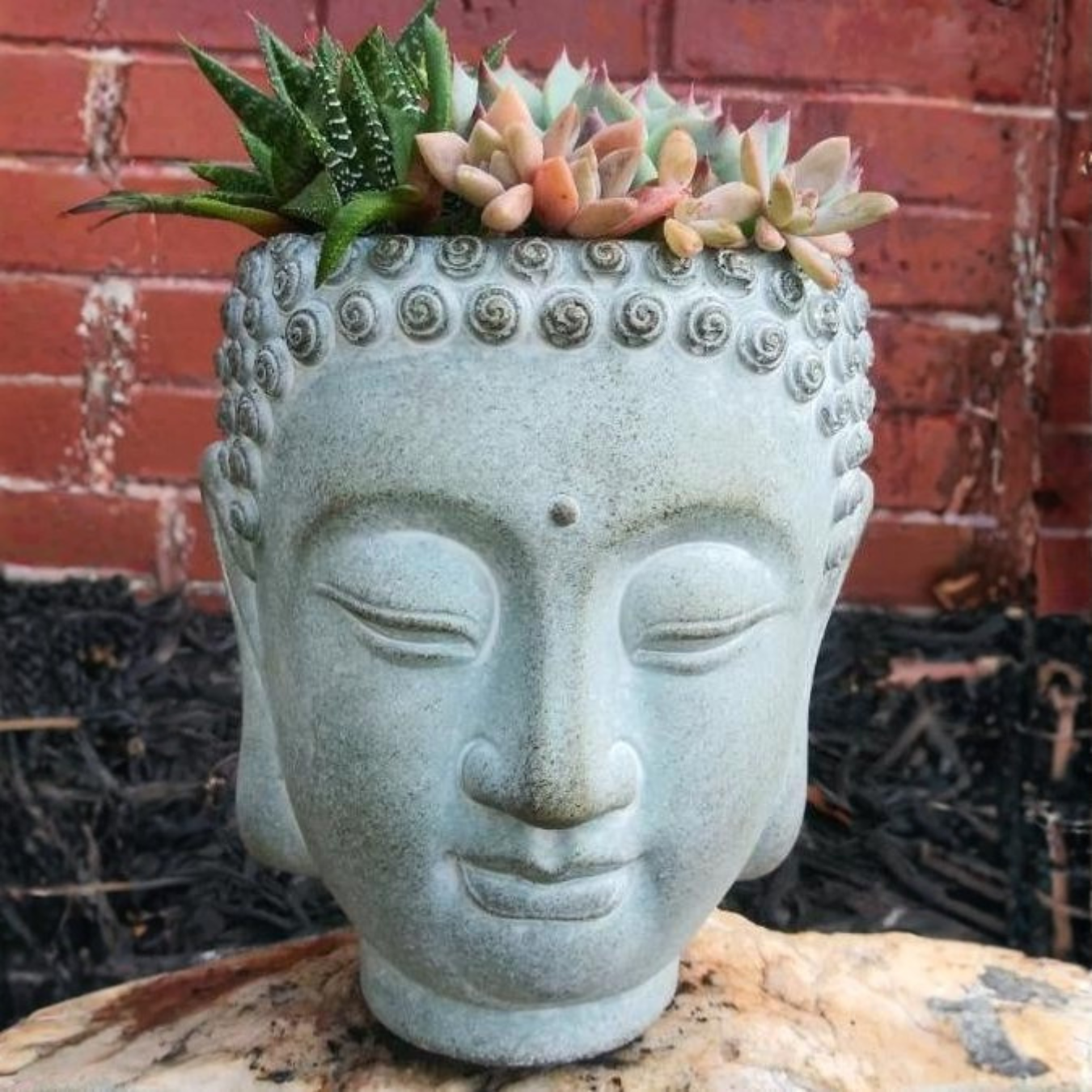 Buddha Head Planter with succulents outdoors with a red brick background