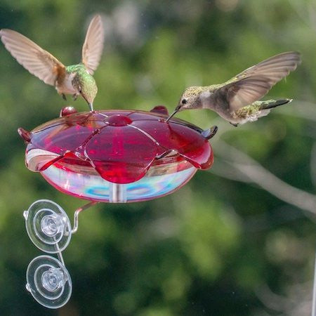 Birding Gifts Under $15