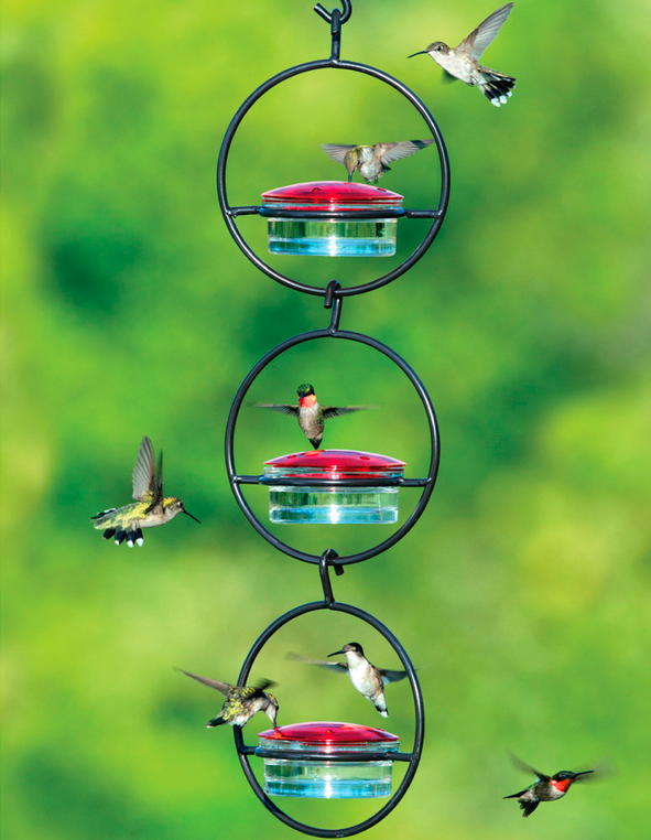 Bird Feeders