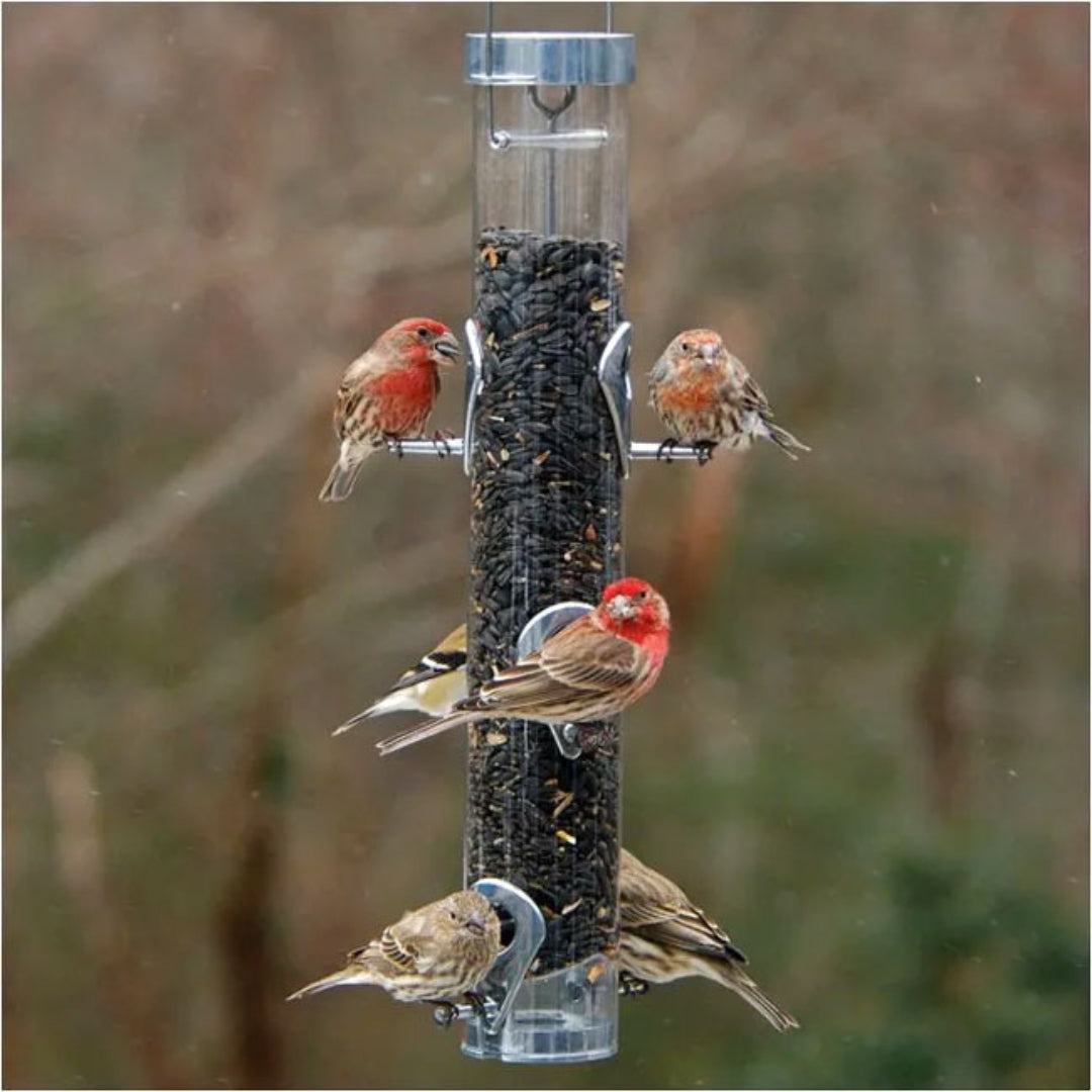 Droll Yankees A-6 Ring Pull Bird Feeder, perfect for attracting a variety of birds with its easy-to-maintain design and sturdy build