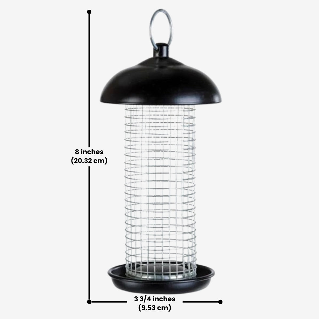 Hopper-style bird feeder and peanut tube set, ideal for birdwatching enthusiasts looking to feed wild birds in their backyard