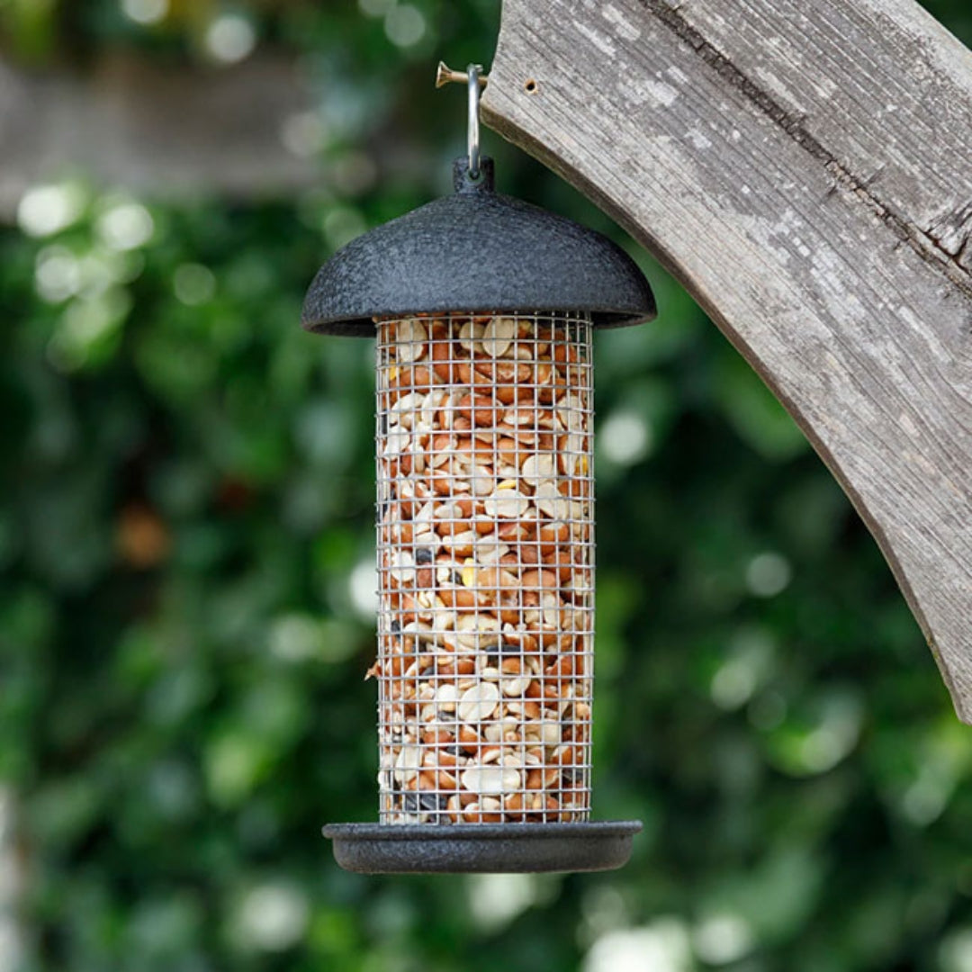 Hopper-style bird feeder and peanut tube set, ideal for birdwatching enthusiasts looking to feed wild birds in their backyard