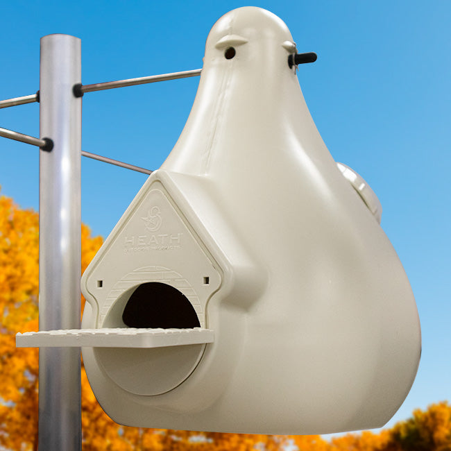 Deluxe Purple Martin Gourd