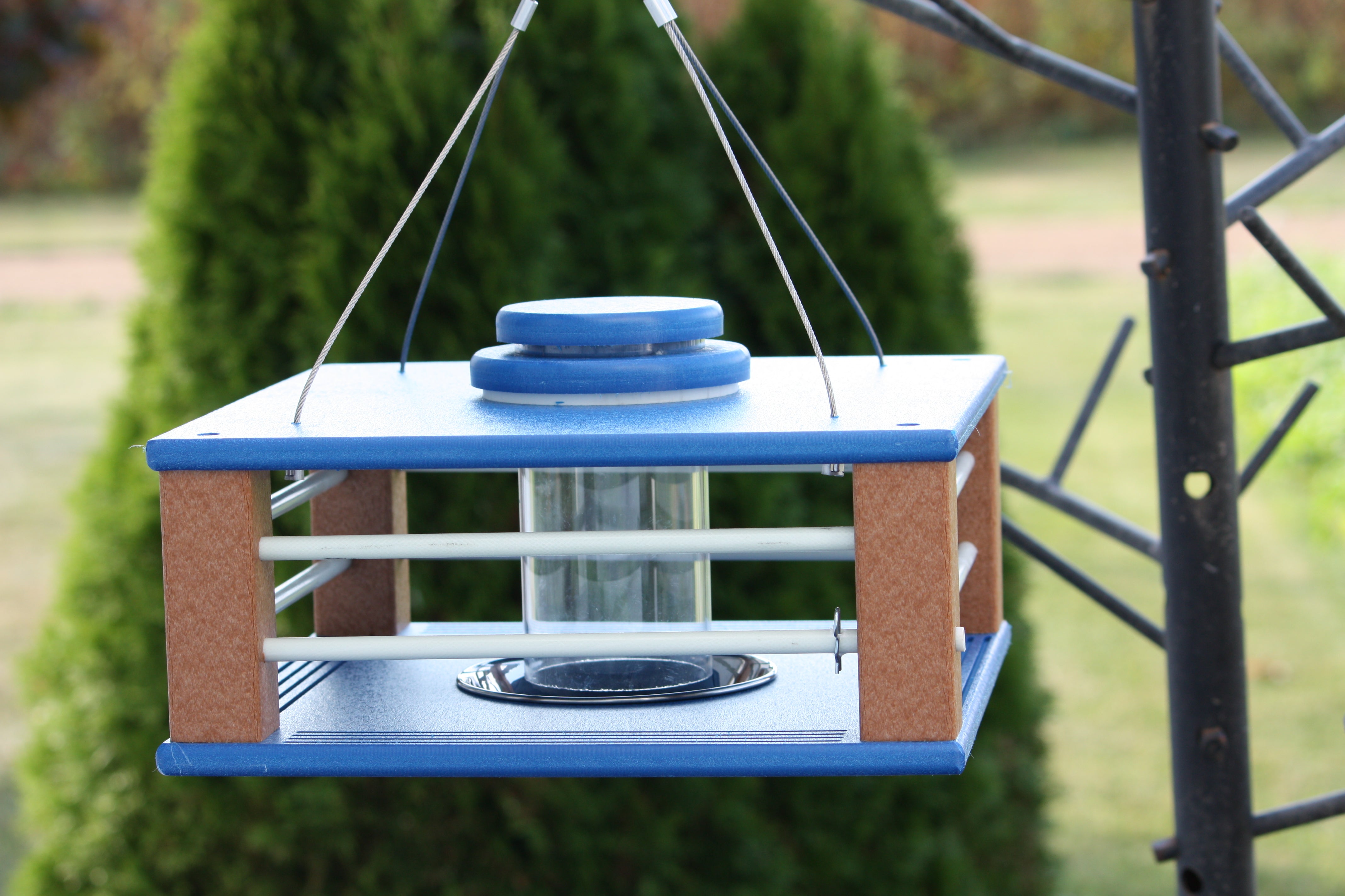 Bird feeder with blue top and brown base hanging from a tree