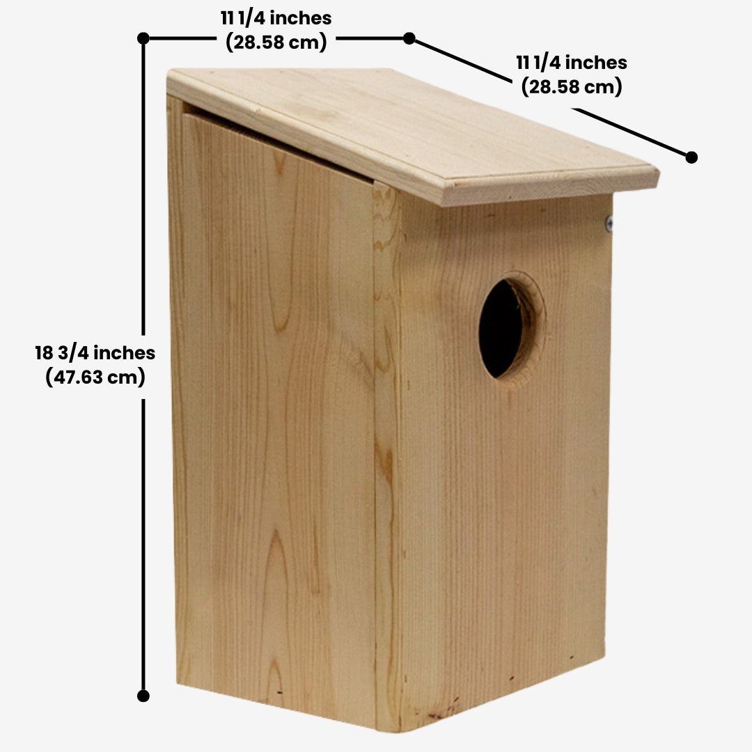 Prime Retreat cedar bird shelter mounted outdoors, ideal for screech owls, saw-whet owls, and kestrels, with natural wood design for nesting and weather resistance.