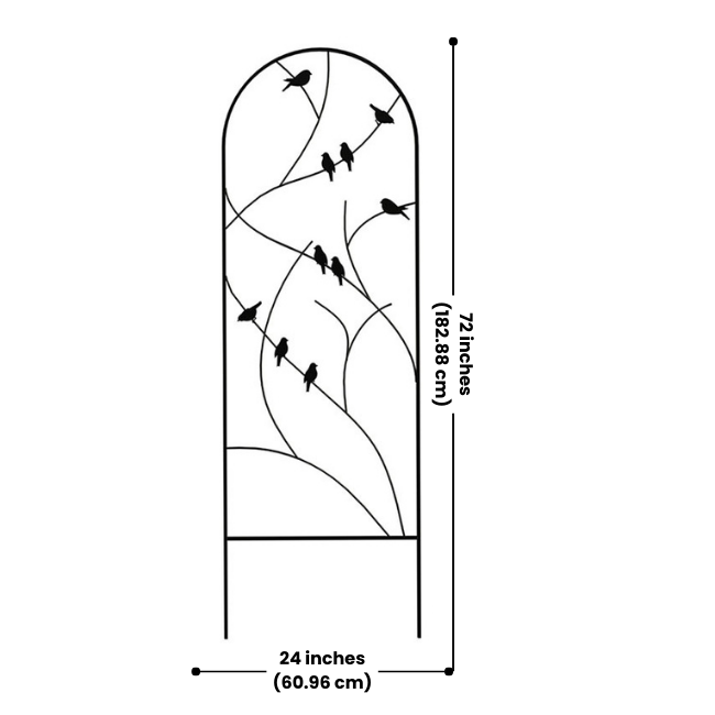 The Songbird Spiral Trellis with dimensions of 24 inches wide and 72 inches high. This durable steel trellis, finished with a black powder coat, is perfect for supporting climbing plants and adding elegance to any outdoor space