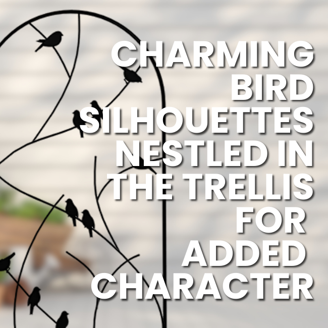 The Songbird Spiral Trellis standing as an eye-catching accent in a garden, with a sleek black finish and sturdy design. This trellis supports climbing plants and adds a whimsical, bird-themed charm to your landscape