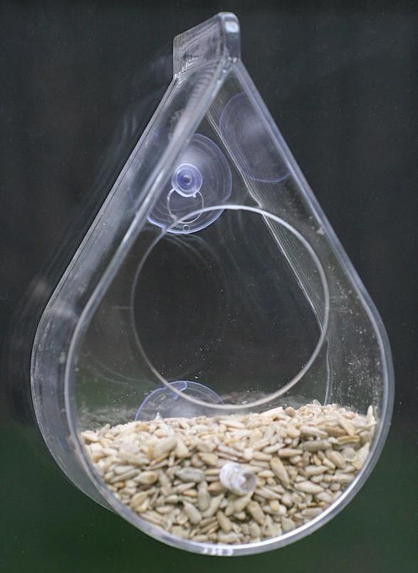 Window Bird Feeder