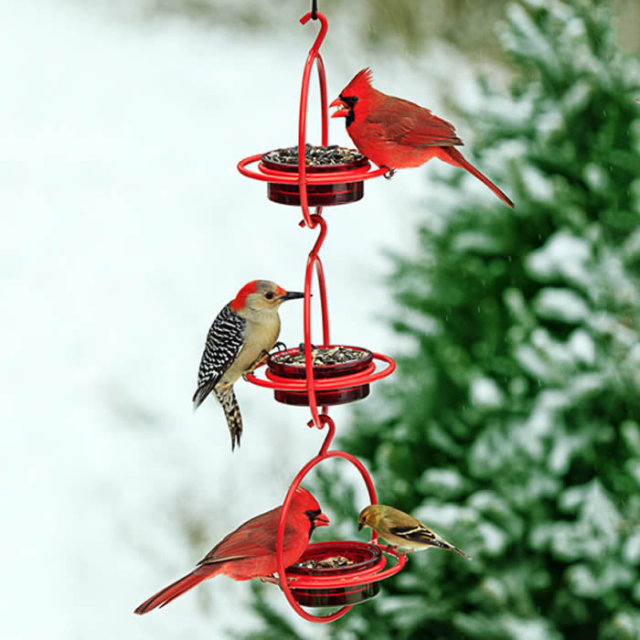 Orb-bird-feeder-product-idea