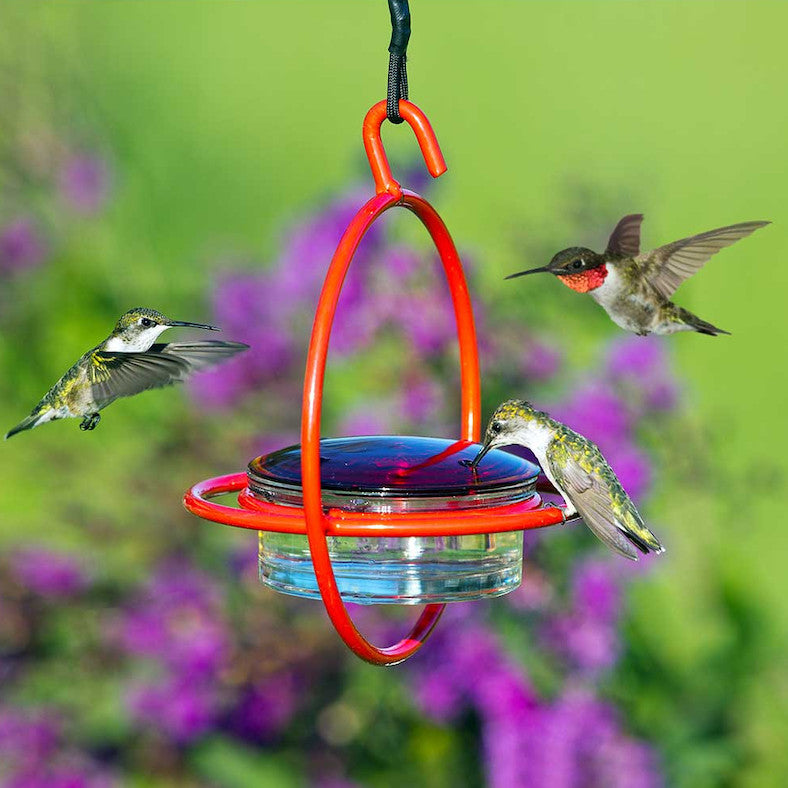 Red Orb with Perch Hummingbird Feeder
